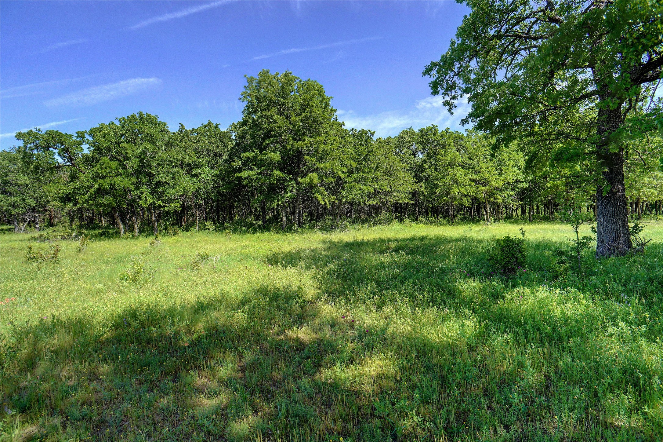 0 Pr 3637 Private Road 3637 Road Springtown TX 76082