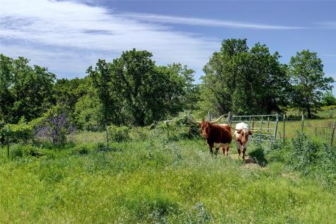 0 Pr 3637 Private Road 3637 Road Springtown TX 76082