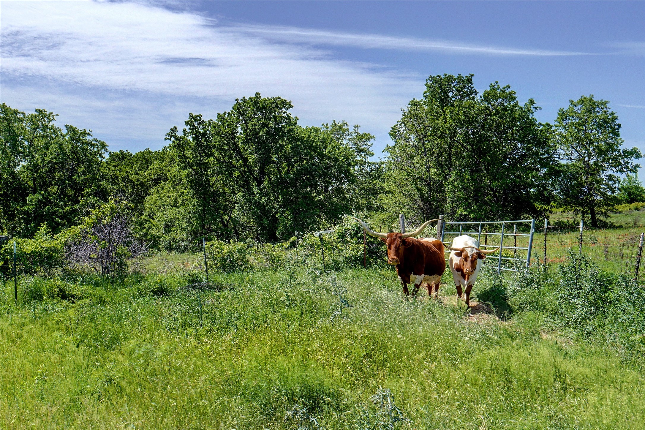 0 Pr 3637 Private Road 3637 Road Springtown TX 76082