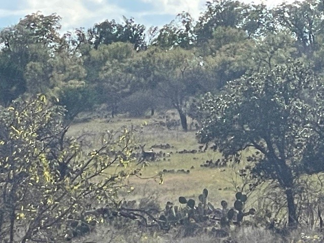 190 Us Highway Brady TX 76825