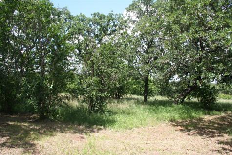215 Buzbee Road Palo Pinto TX 76484