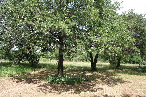 215 Buzbee Road Palo Pinto TX 76484