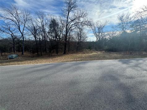 Lot 37 Dove Canyon Drive Gordonville TX 76245