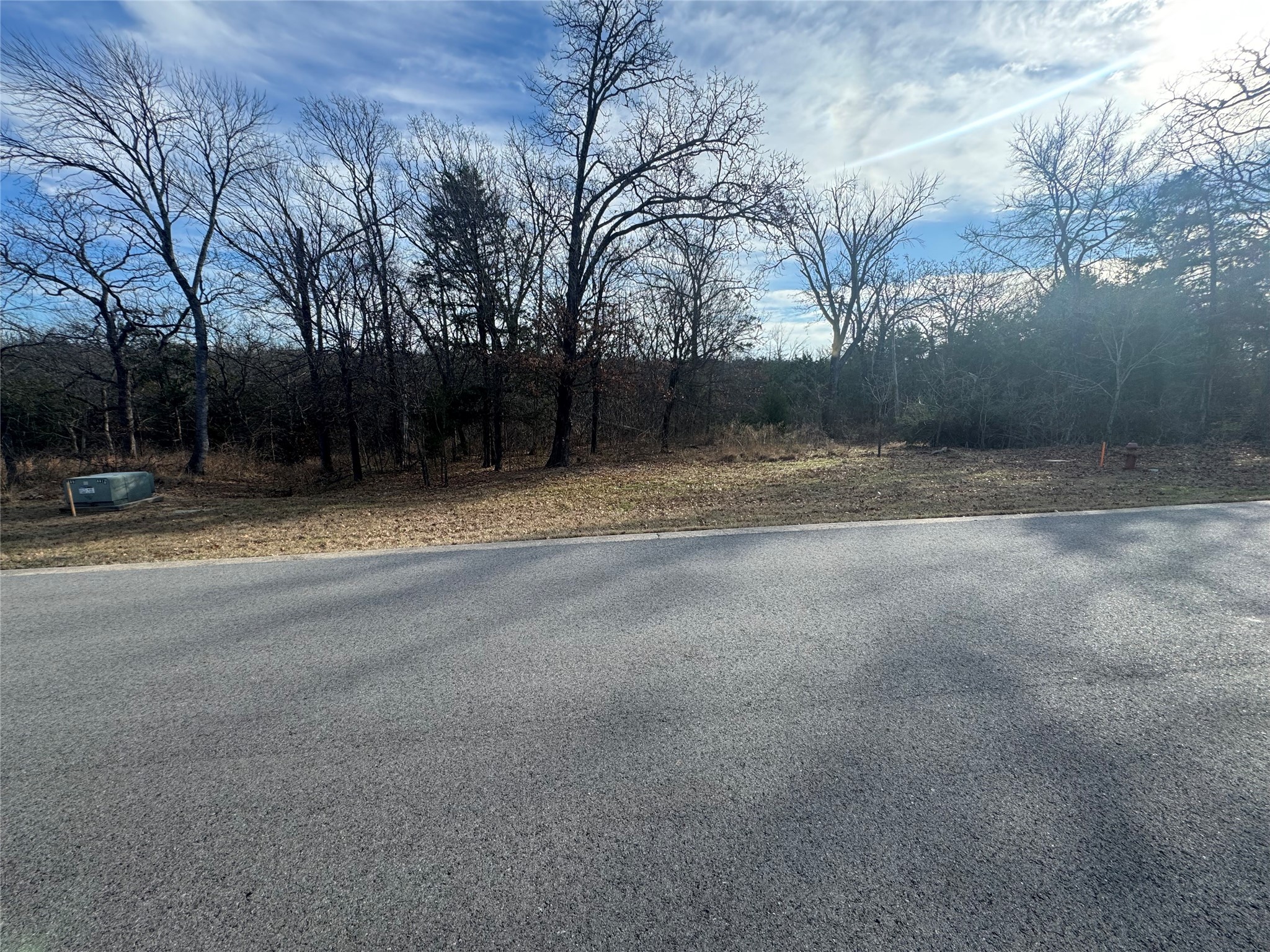Lot 37 Dove Canyon Drive Gordonville TX 76245
