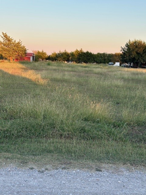 Tba Live Oak Road Princeton TX 75407