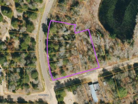23560 Shady Lane Mineola TX 75773