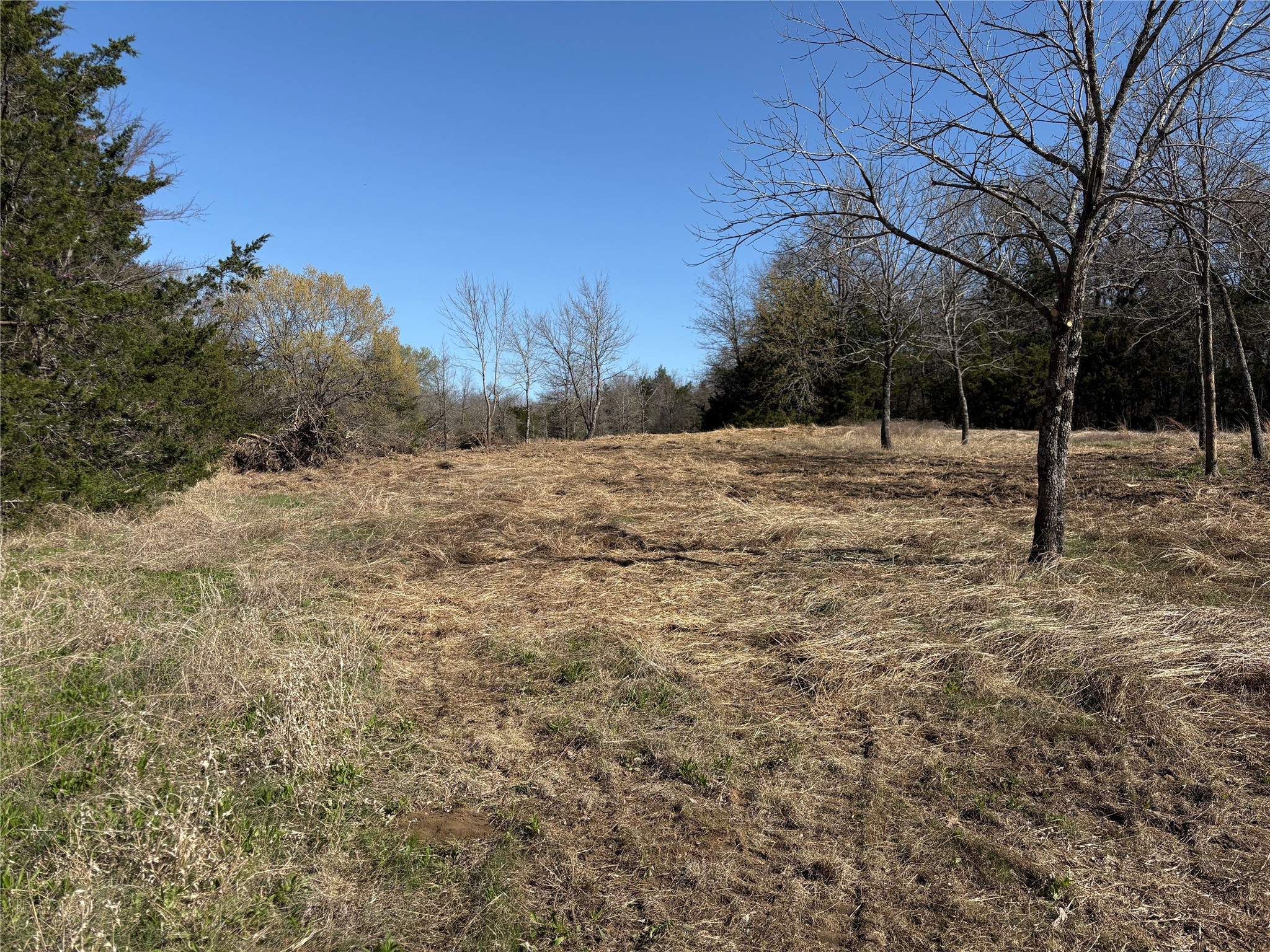 Tbd Stribbling Whitesboro TX 76273