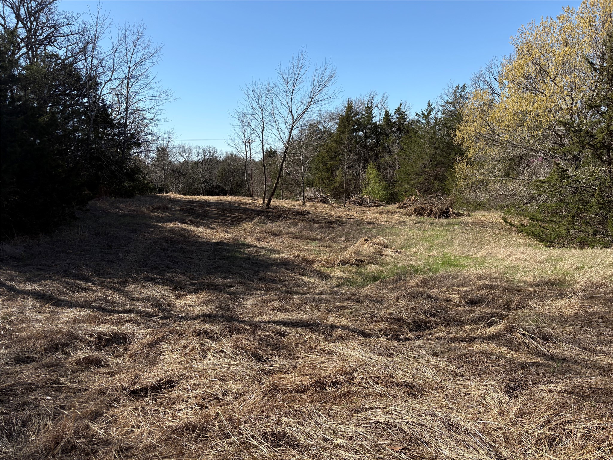 Tbd Stribbling Whitesboro TX 76273