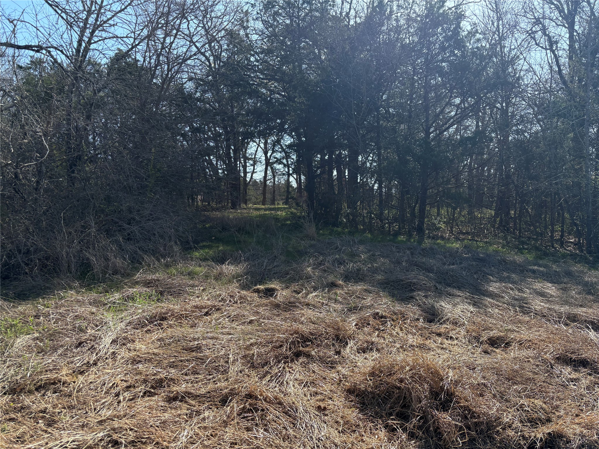 Tbd Stribbling Whitesboro TX 76273