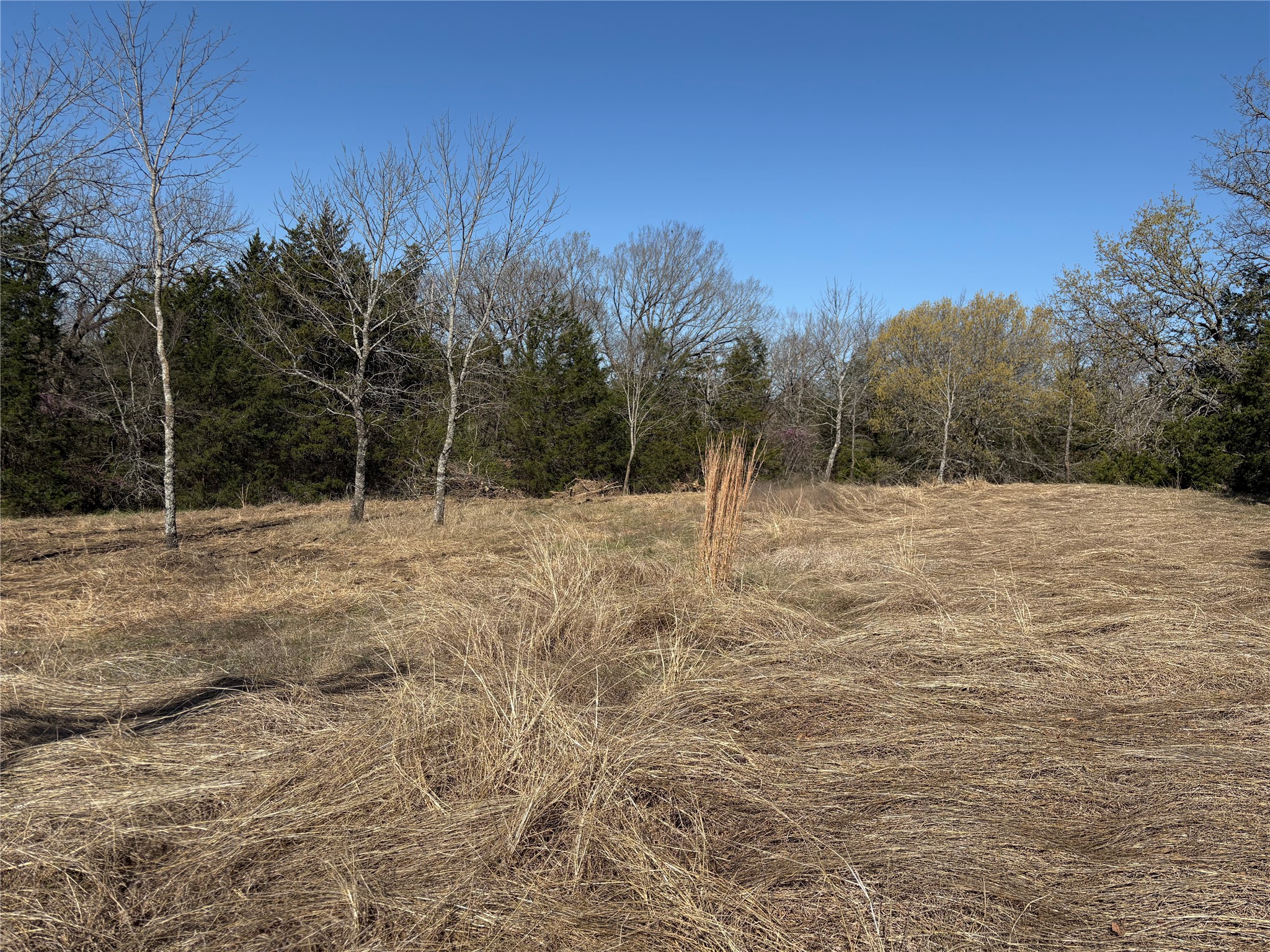 Tbd Stribbling Whitesboro TX 76273