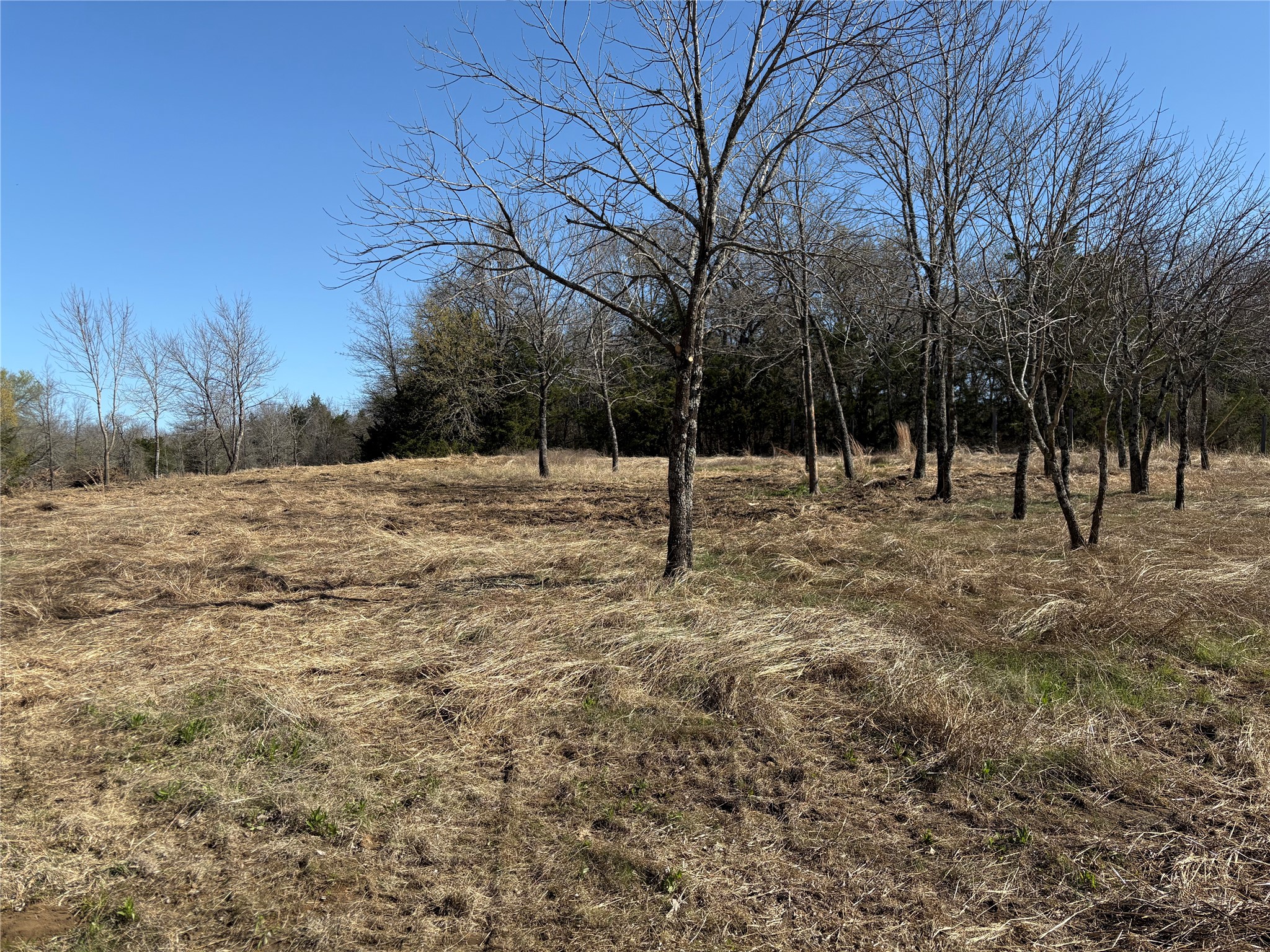 Tbd Stribbling Whitesboro TX 76273
