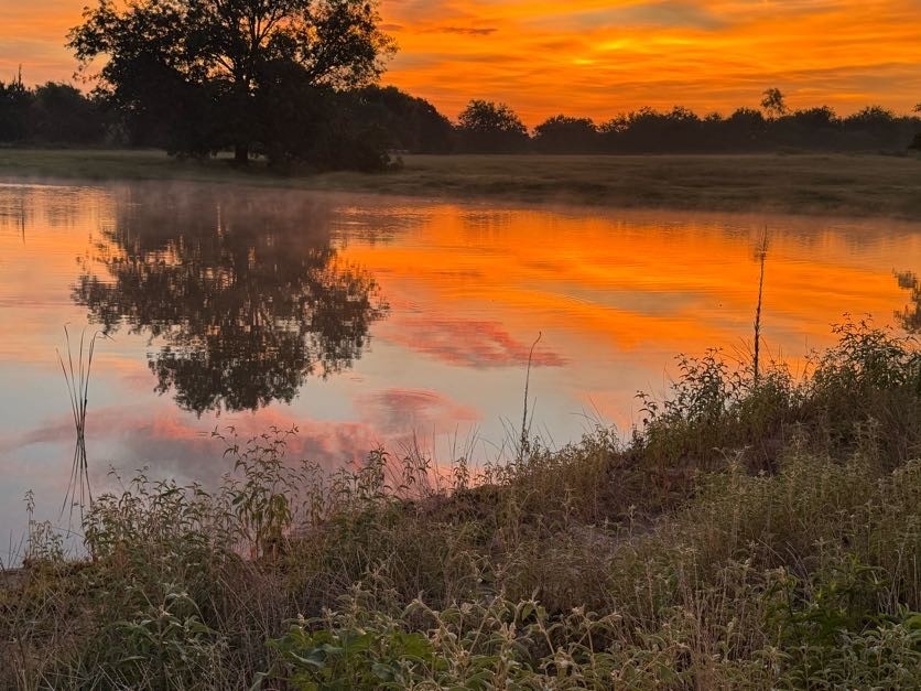 Lot 23 Fm 514 Road Yantis TX 75497