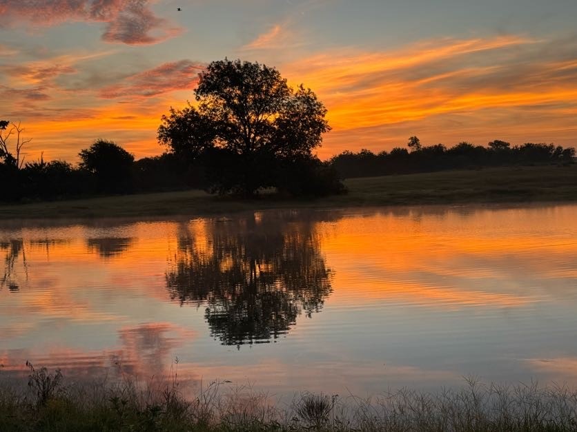 Lot 23 Fm 514 Road Yantis TX 75497