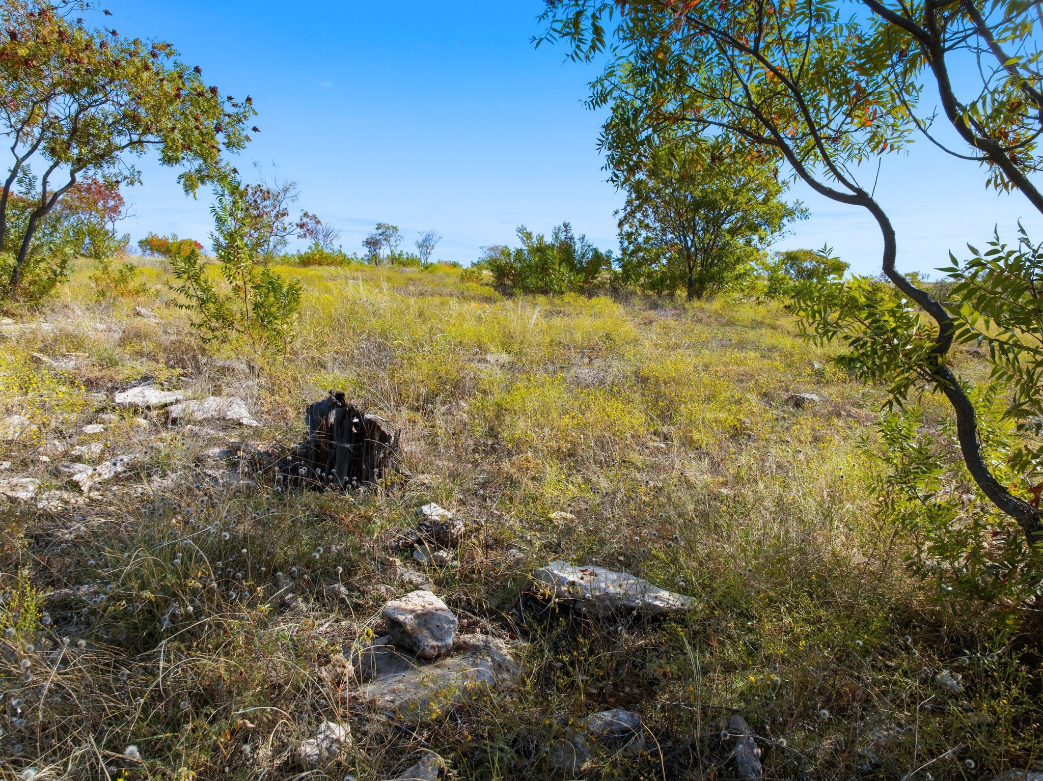 Lot 38 Clearwater Point Possum Kingdom Lake TX 76449