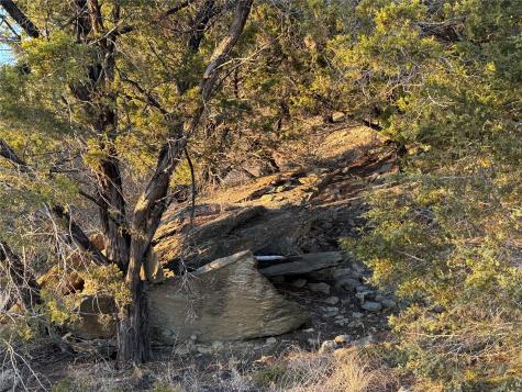 1391 Canyon Wren South Loop Graford TX 76449