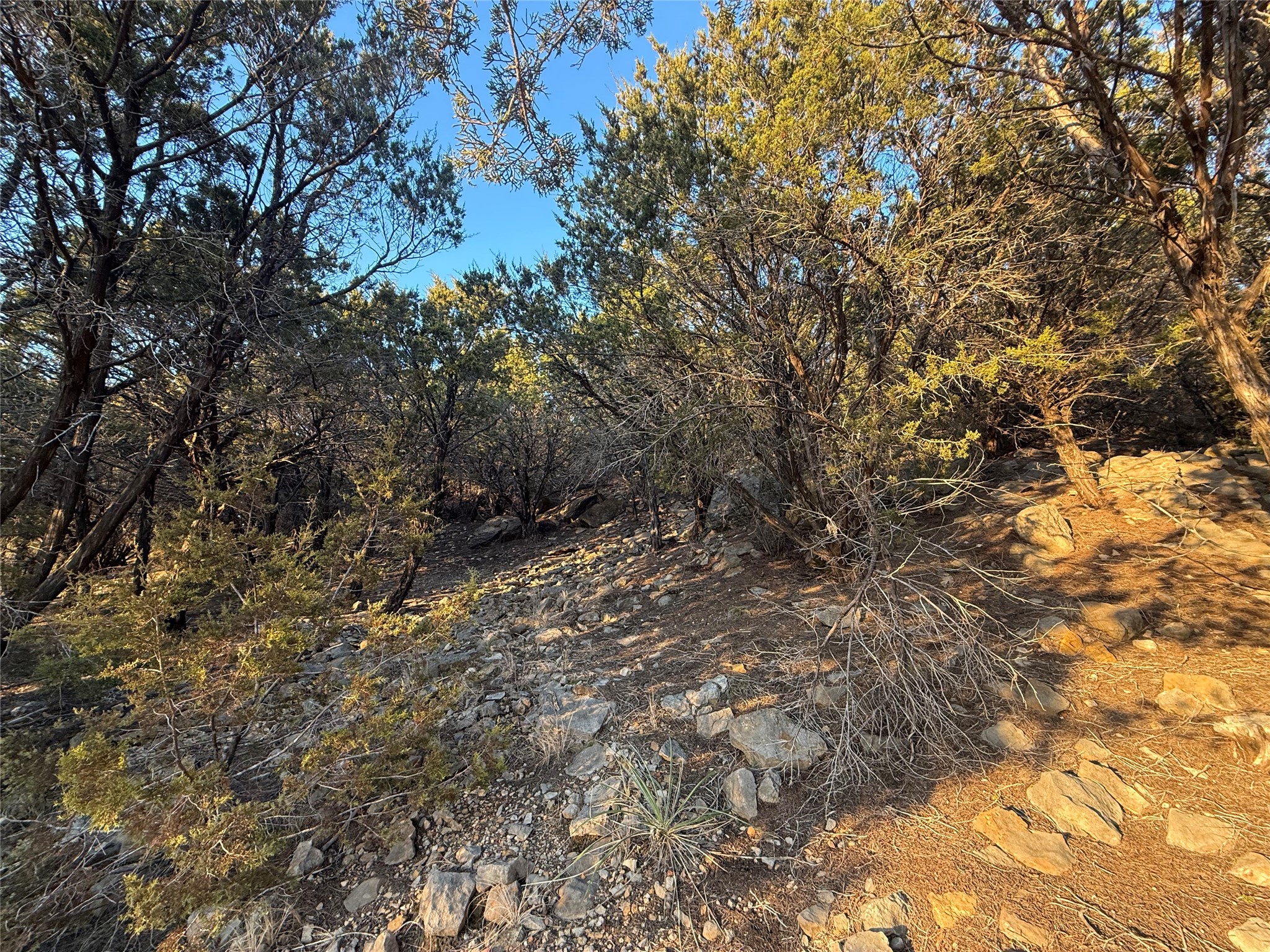 1391 Canyon Wren South Loop Graford TX 76449