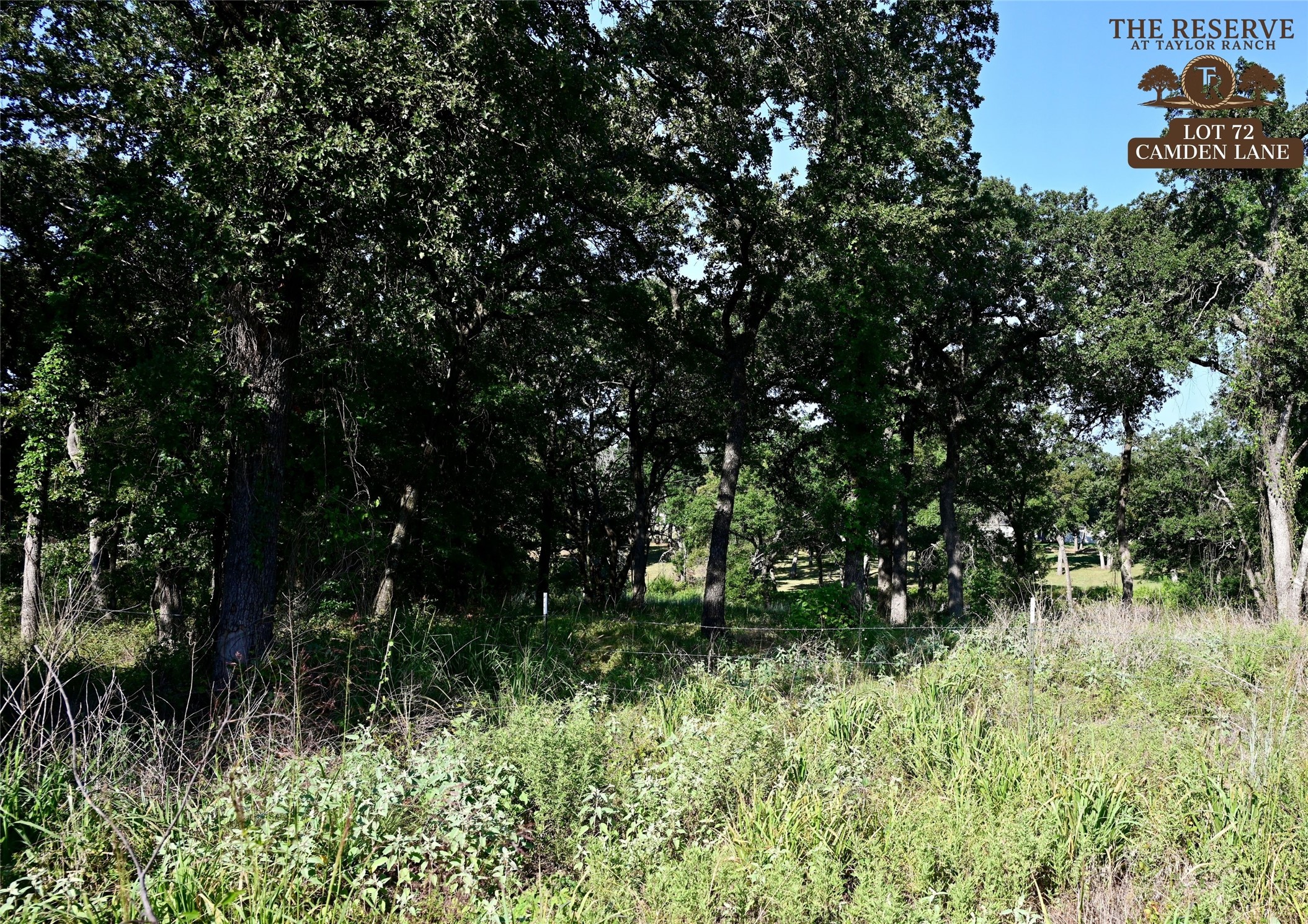 Lot 72 Camden Lane Springtown TX 76082