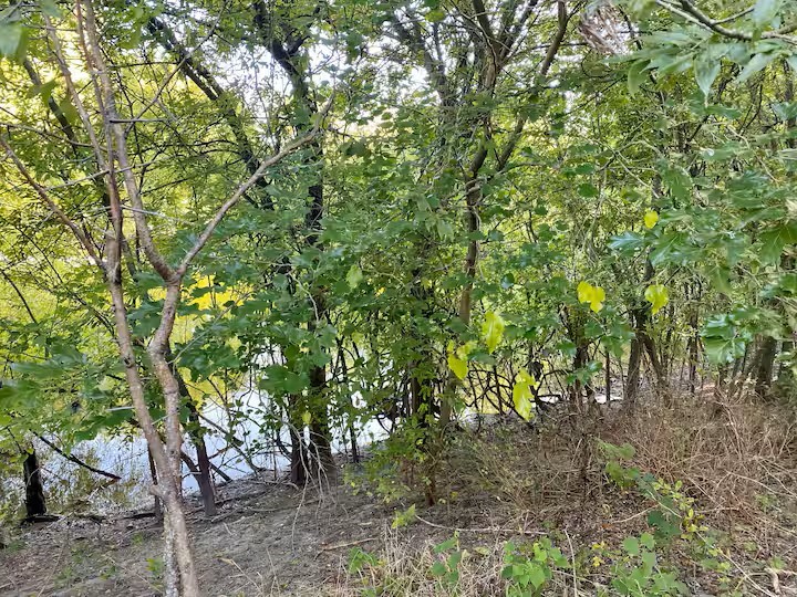 000 Harrell Road Howe TX 75459
