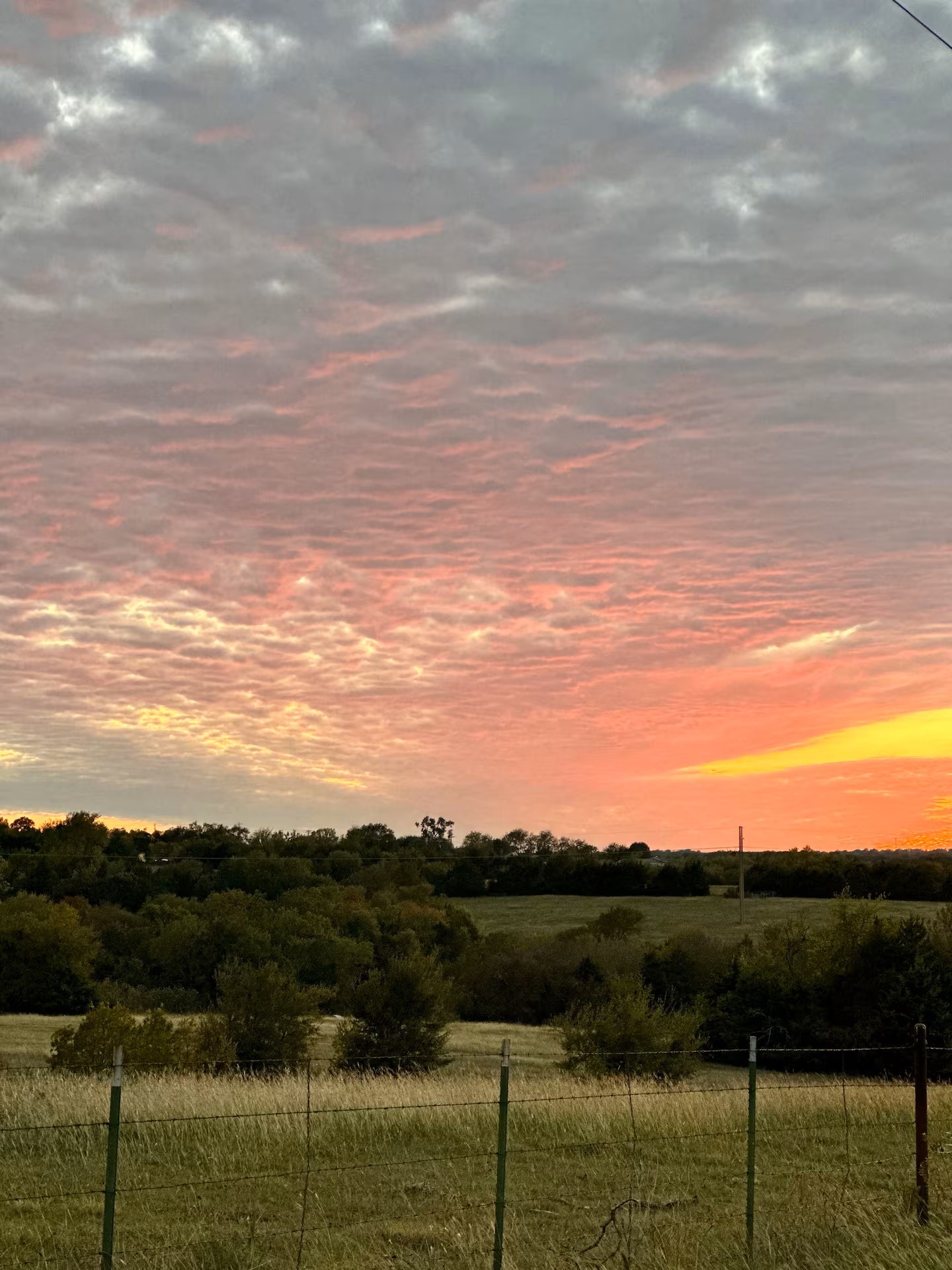 000 Harrell Road Howe TX 75459