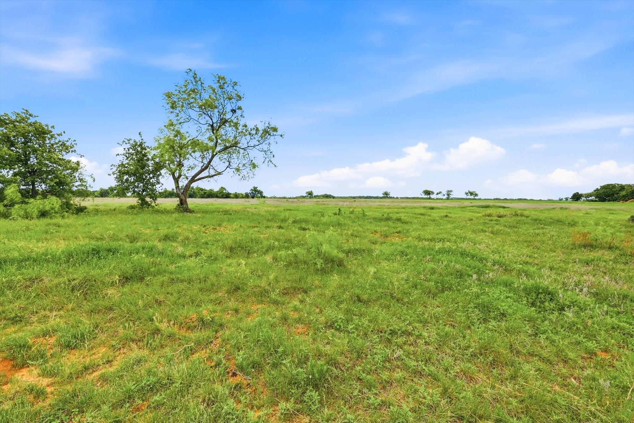 1060 Mustang Ridge Perrin TX 76486