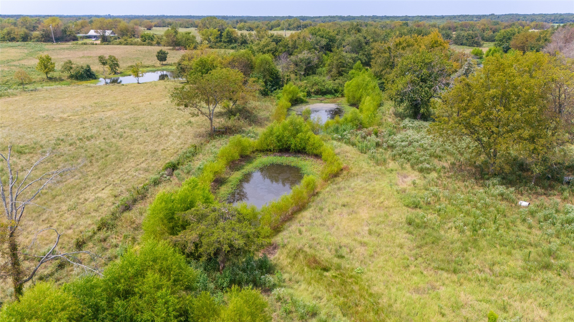 1987 Farm Road 900 N Saltillo TX 75478