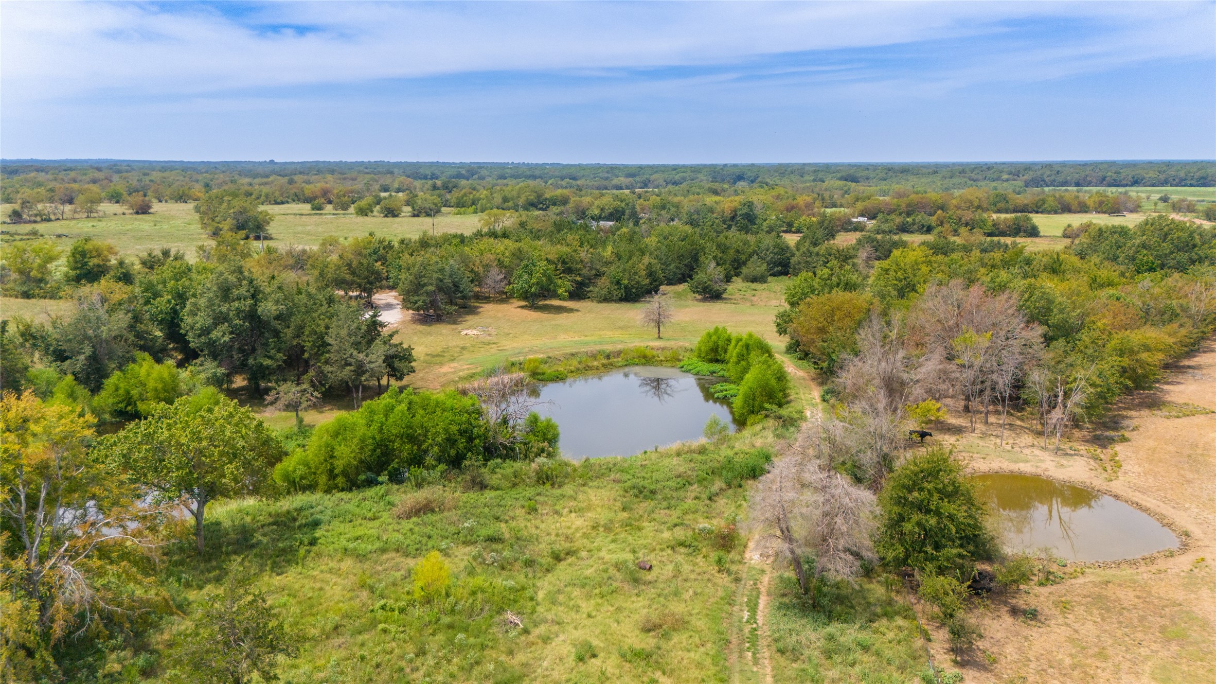 1987 Farm Road 900 N Saltillo TX 75478