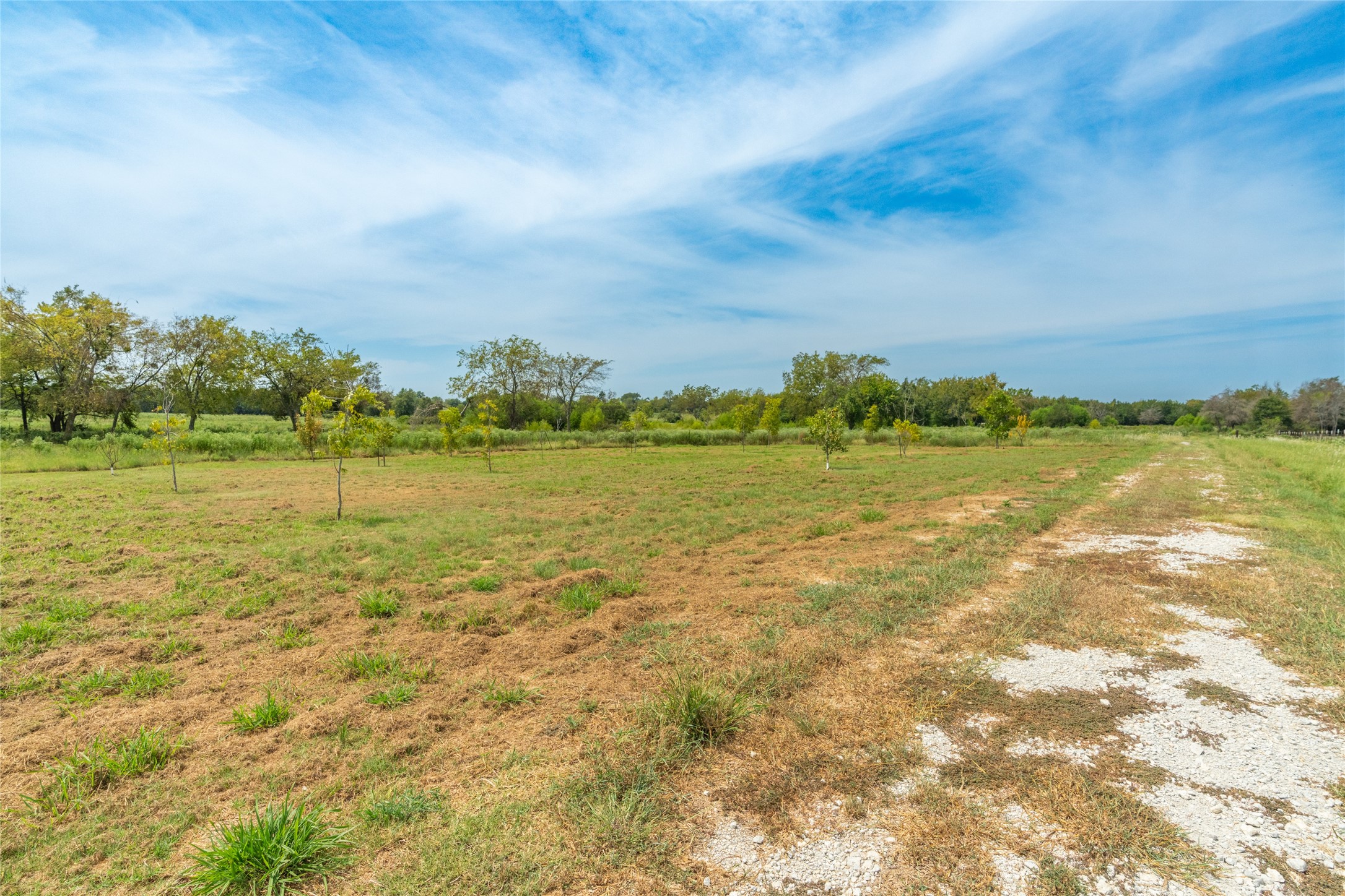 1987 Farm Road 900 N Saltillo TX 75478