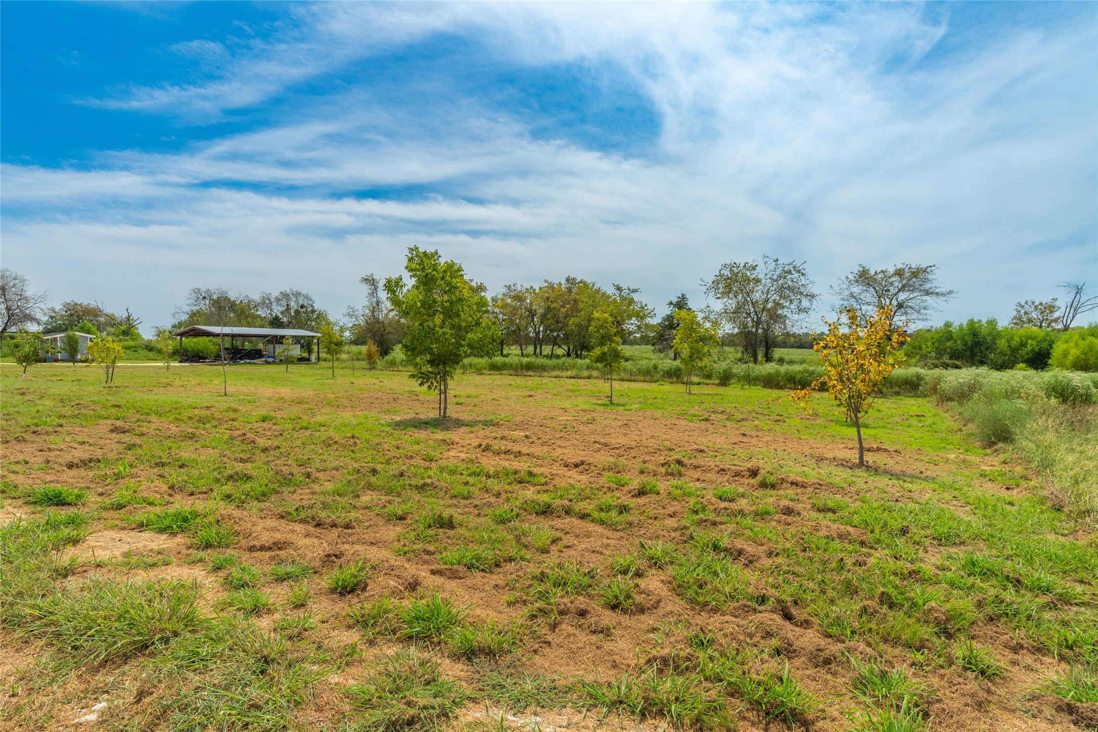 1987 Farm Road 900 N Saltillo TX 75478