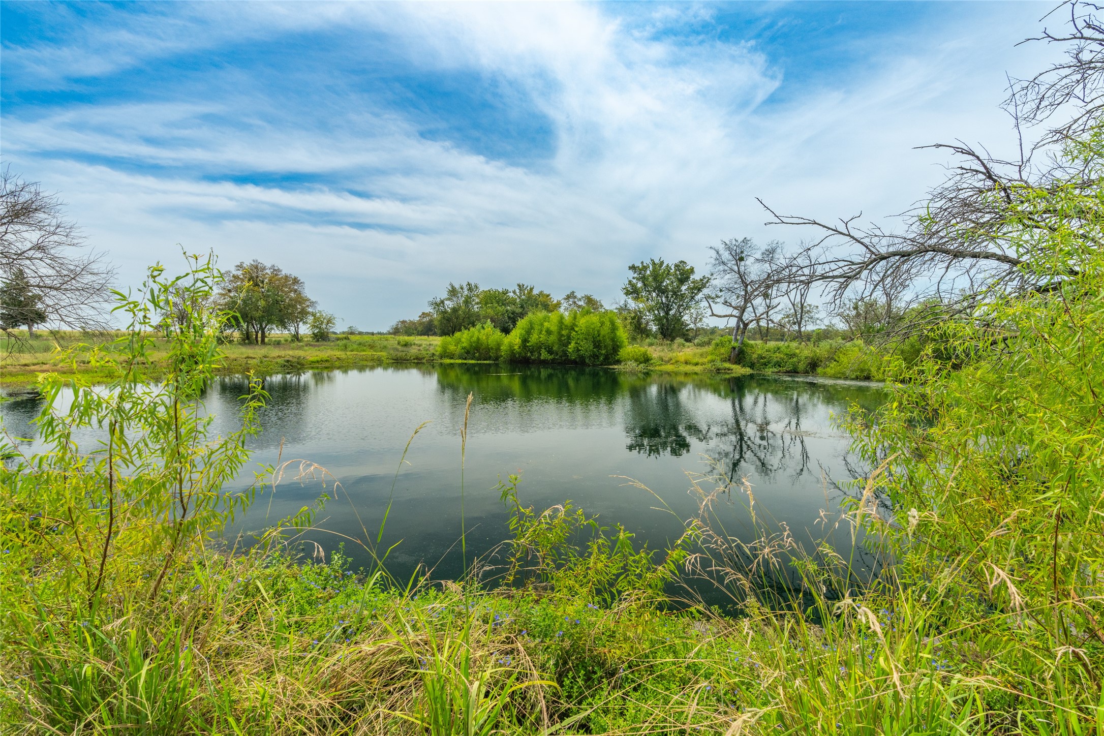 1987 Farm Road 900 N Saltillo TX 75478