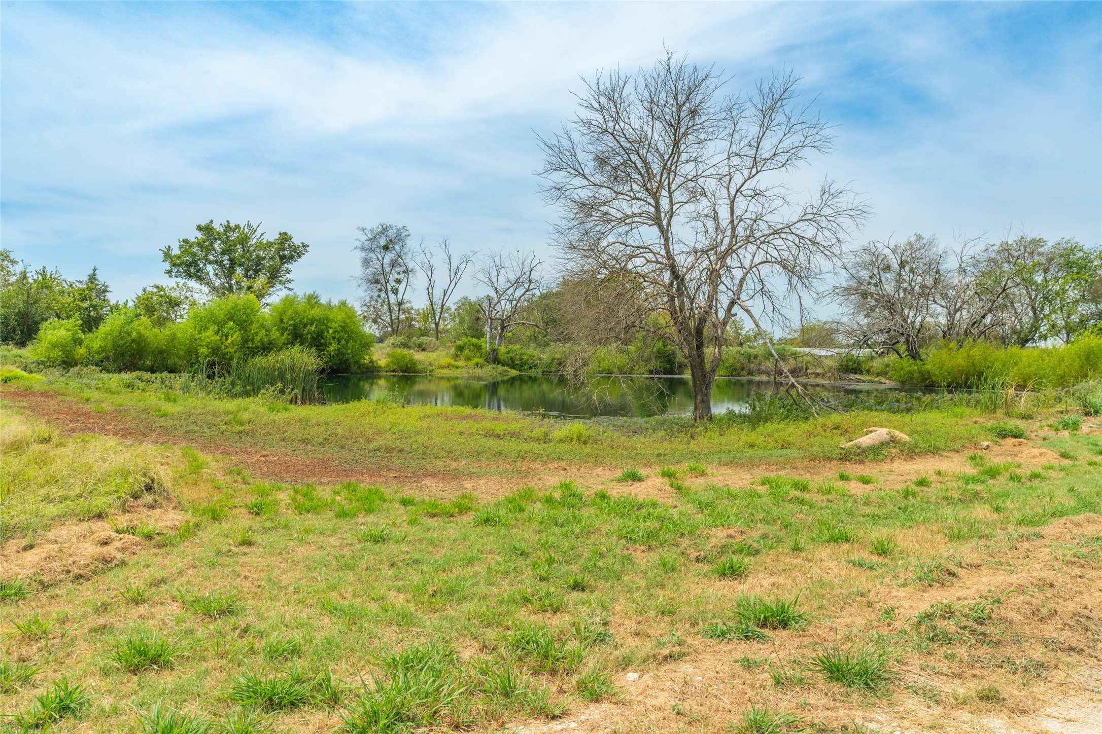 1987 Farm Road 900 N Saltillo TX 75478