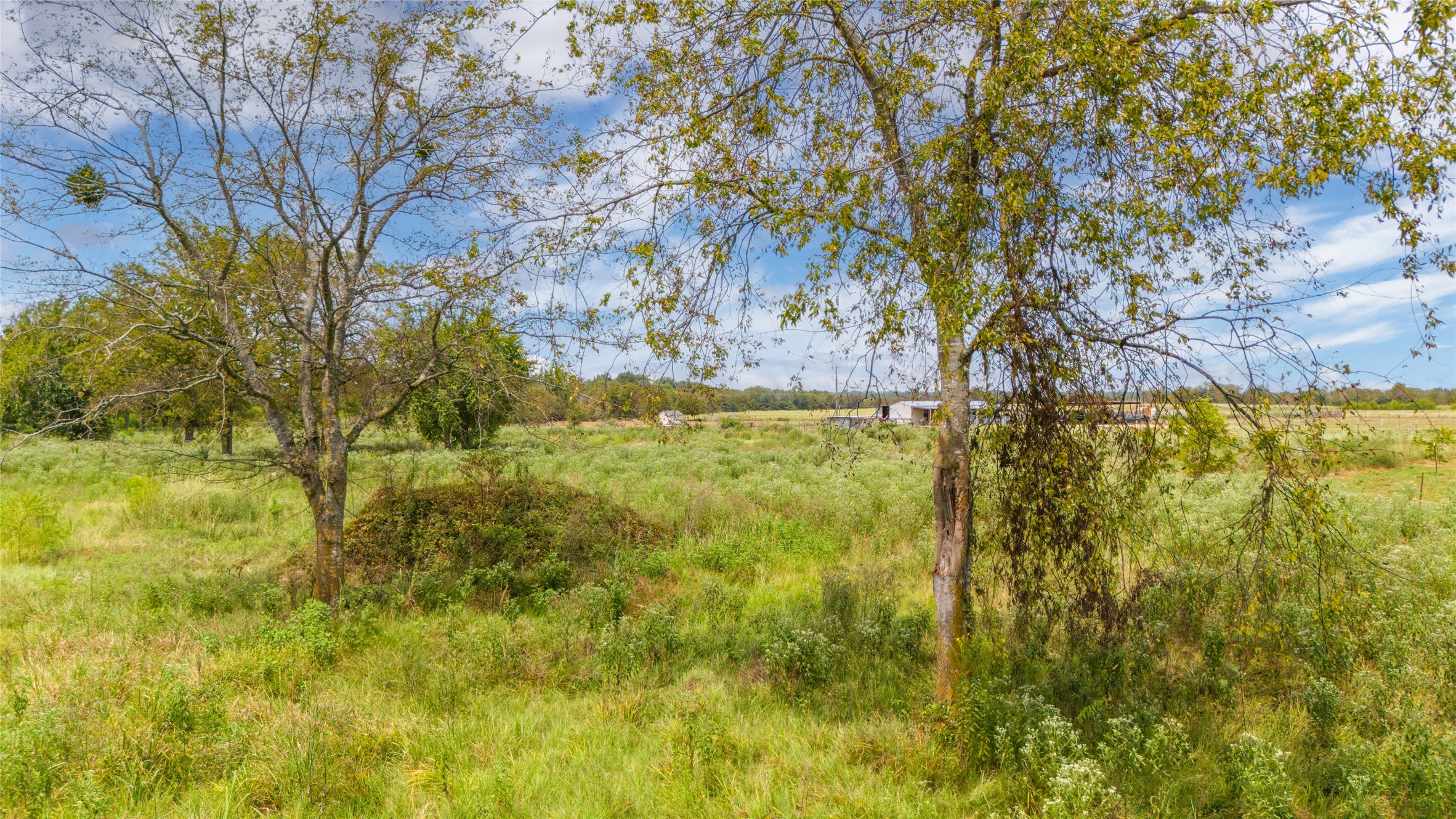 1987 Farm Road 900 N Saltillo TX 75478