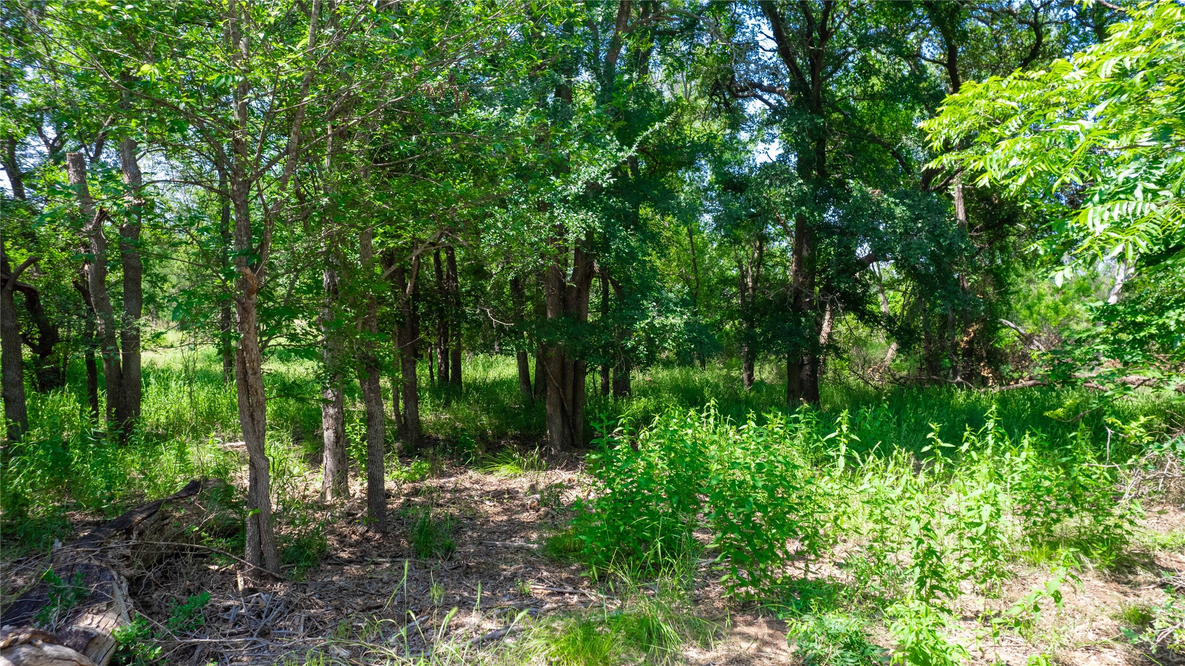 Tbd Hog Creek Road Brownwood TX 76801