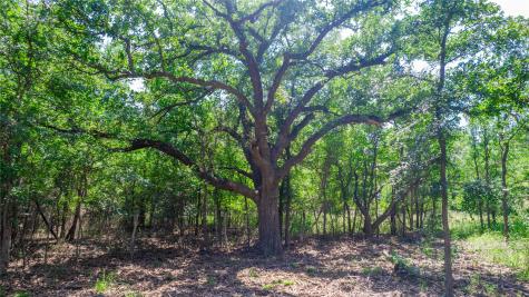 Tbd Hog Creek Road Brownwood TX 76801