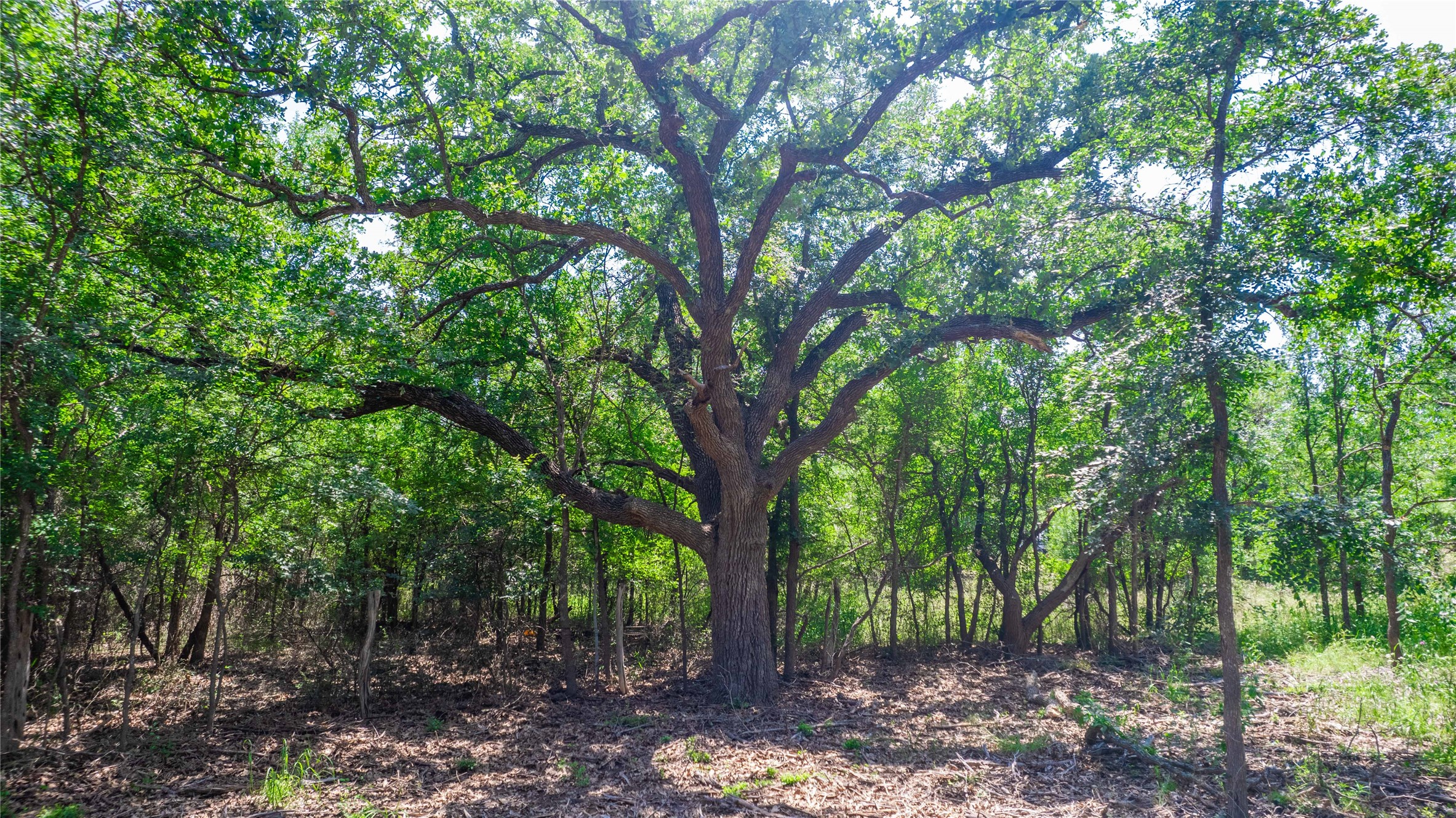 Tbd Hog Creek Road Brownwood TX 76801
