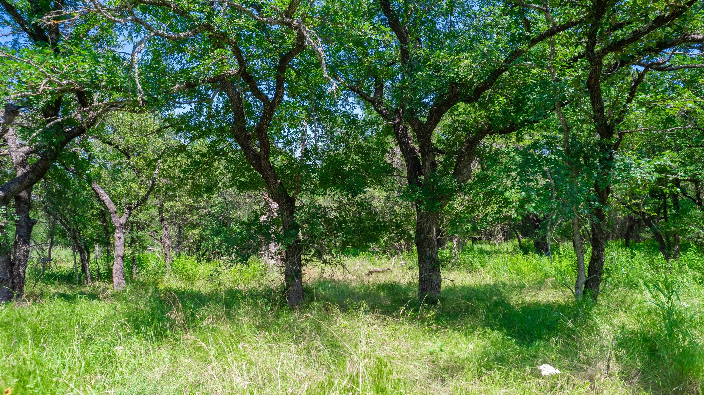 Tbd Hog Creek Road Brownwood TX 76801