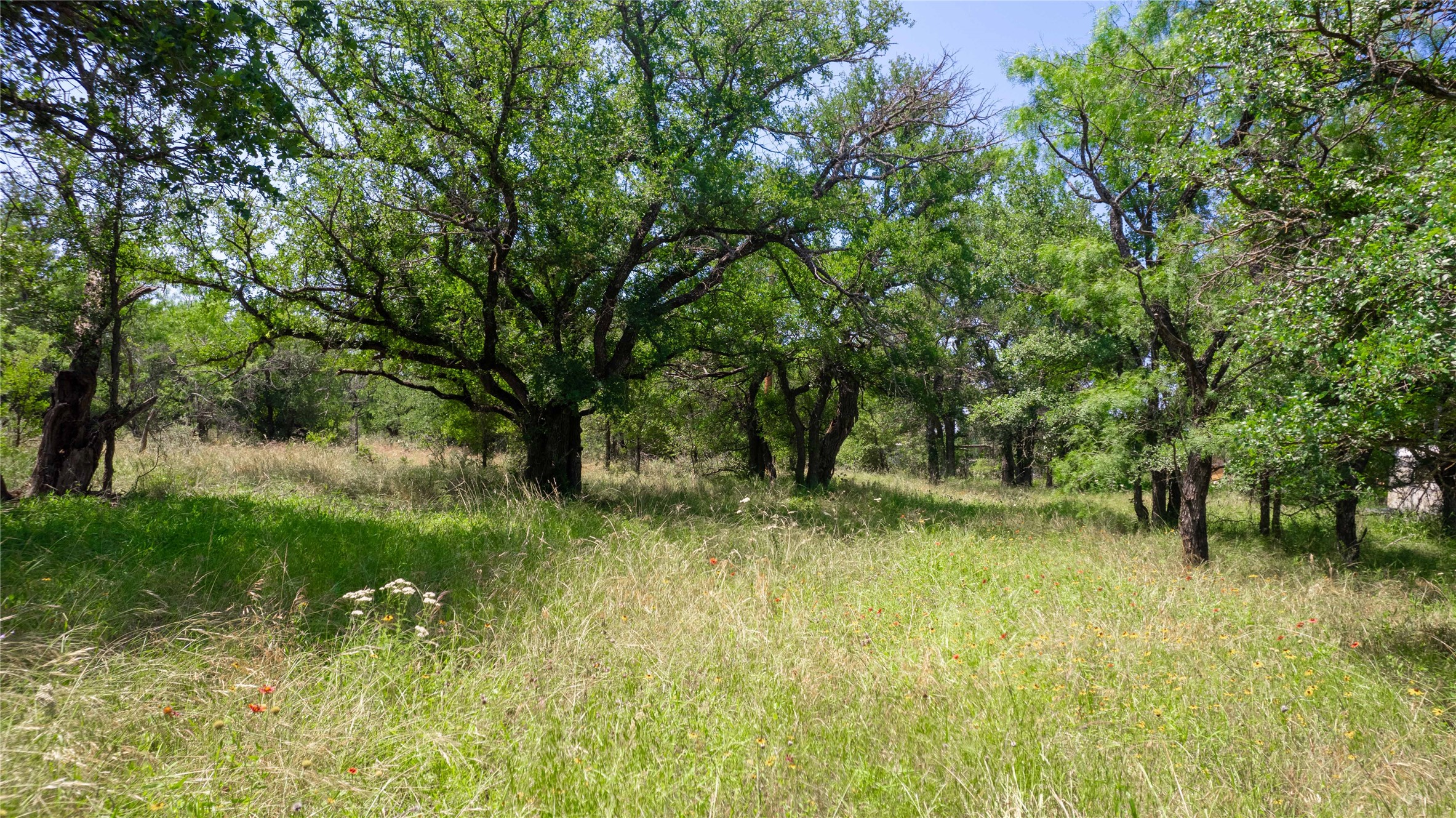 Tbd Hog Creek Road Brownwood TX 76801