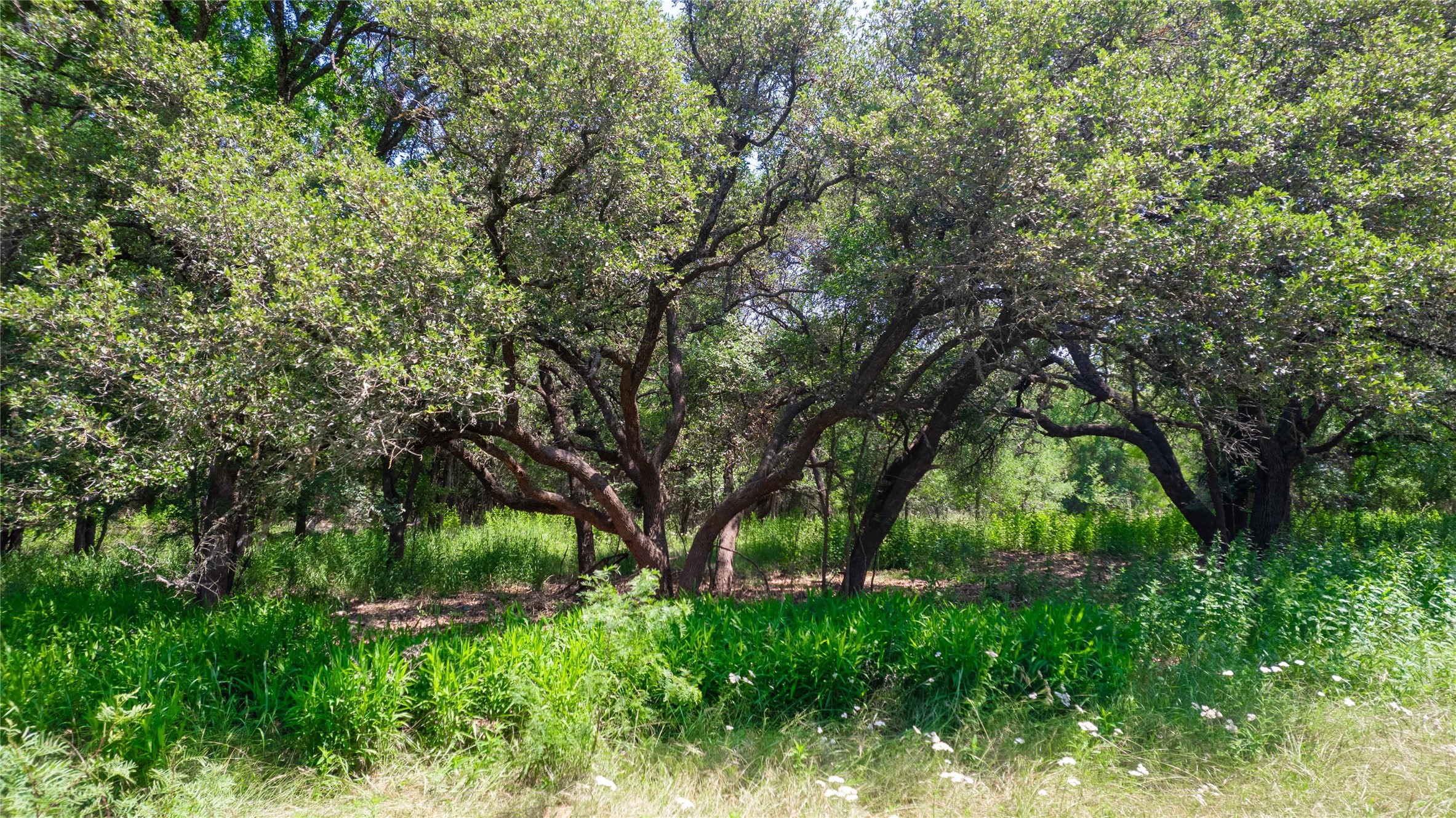 Tbd Hog Creek Road Brownwood TX 76801