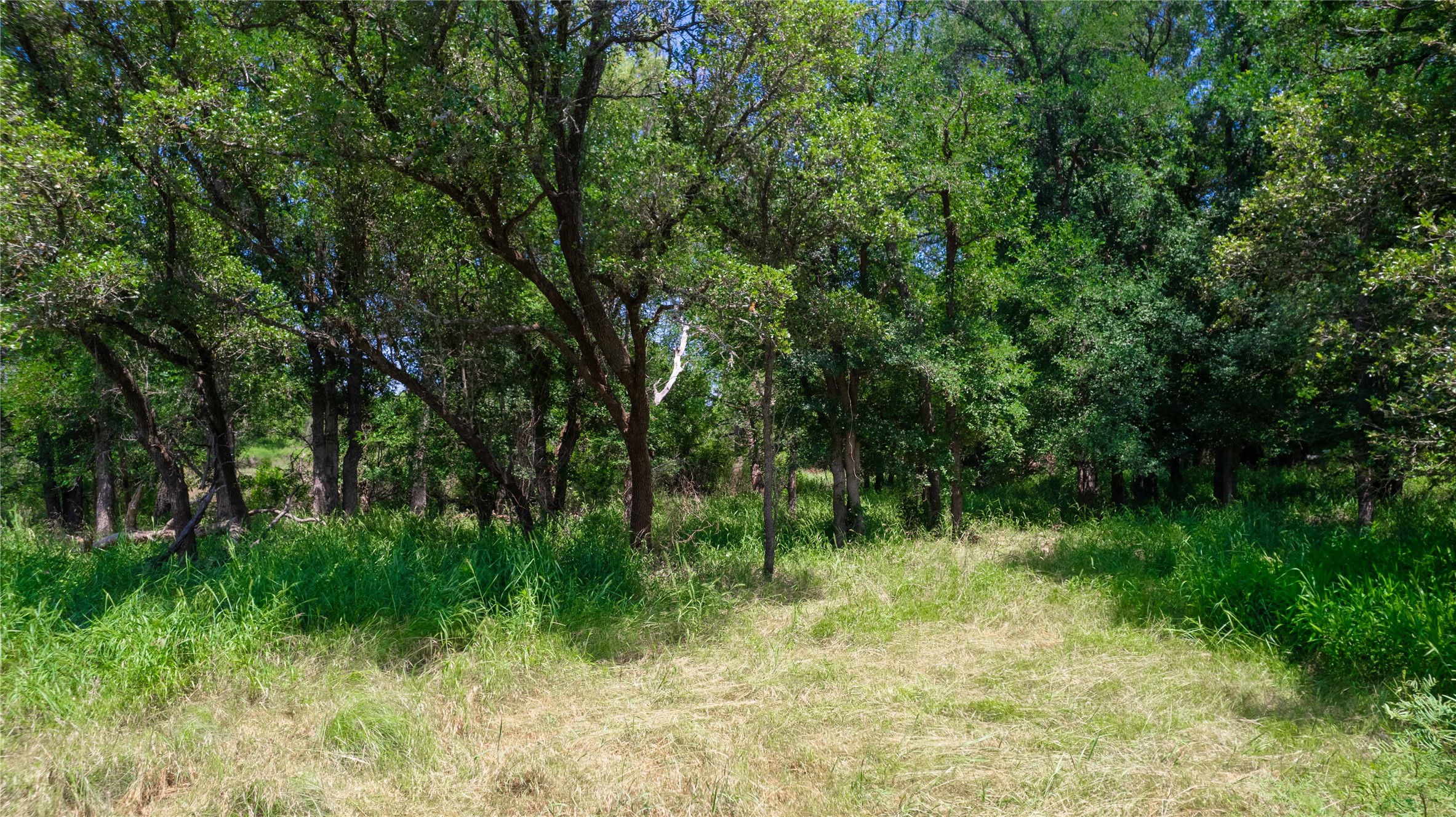 Tbd Hog Creek Road Brownwood TX 76801