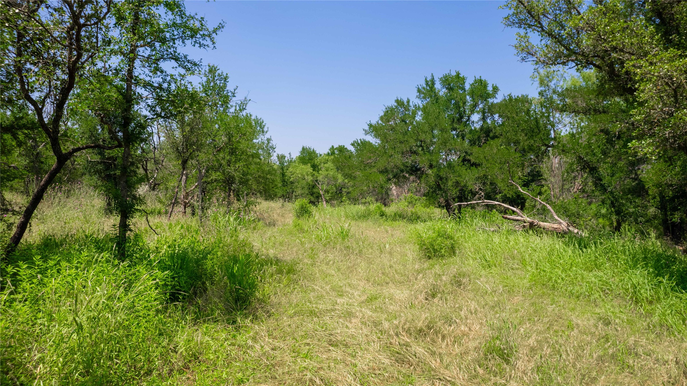 Tbd Hog Creek Road Brownwood TX 76801