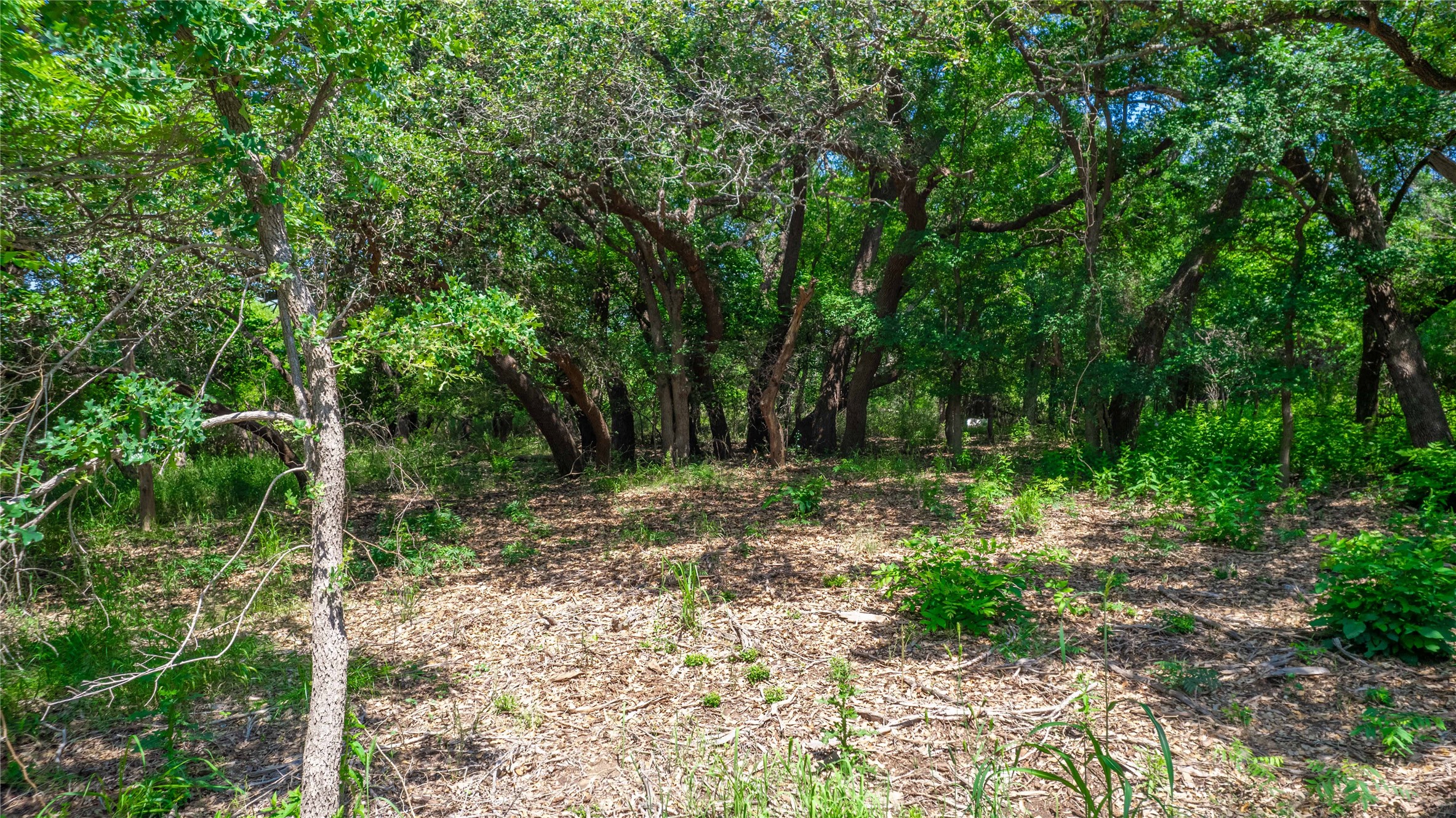 Tbd Hog Creek Road Brownwood TX 76801