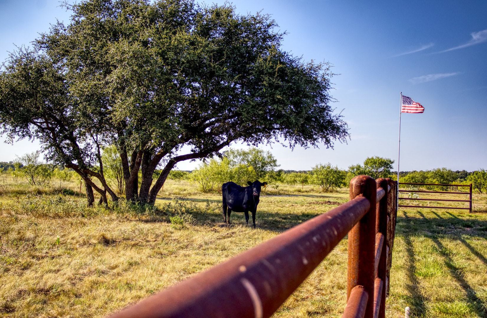 1861 Fm 1974 Graham TX 76450