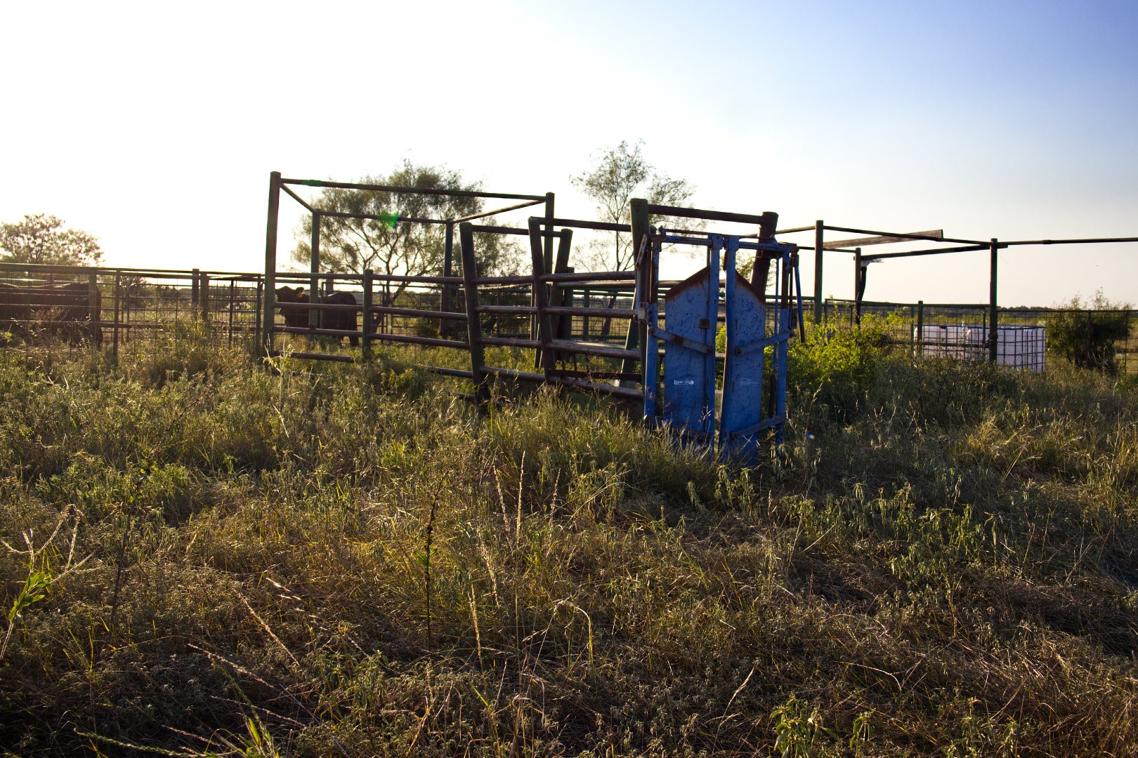 1861 Fm 1974 Graham TX 76450