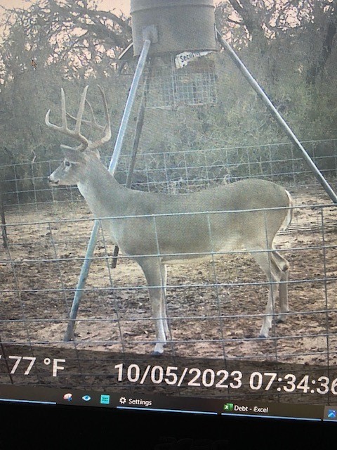 1861 Fm 1974 Graham TX 76450