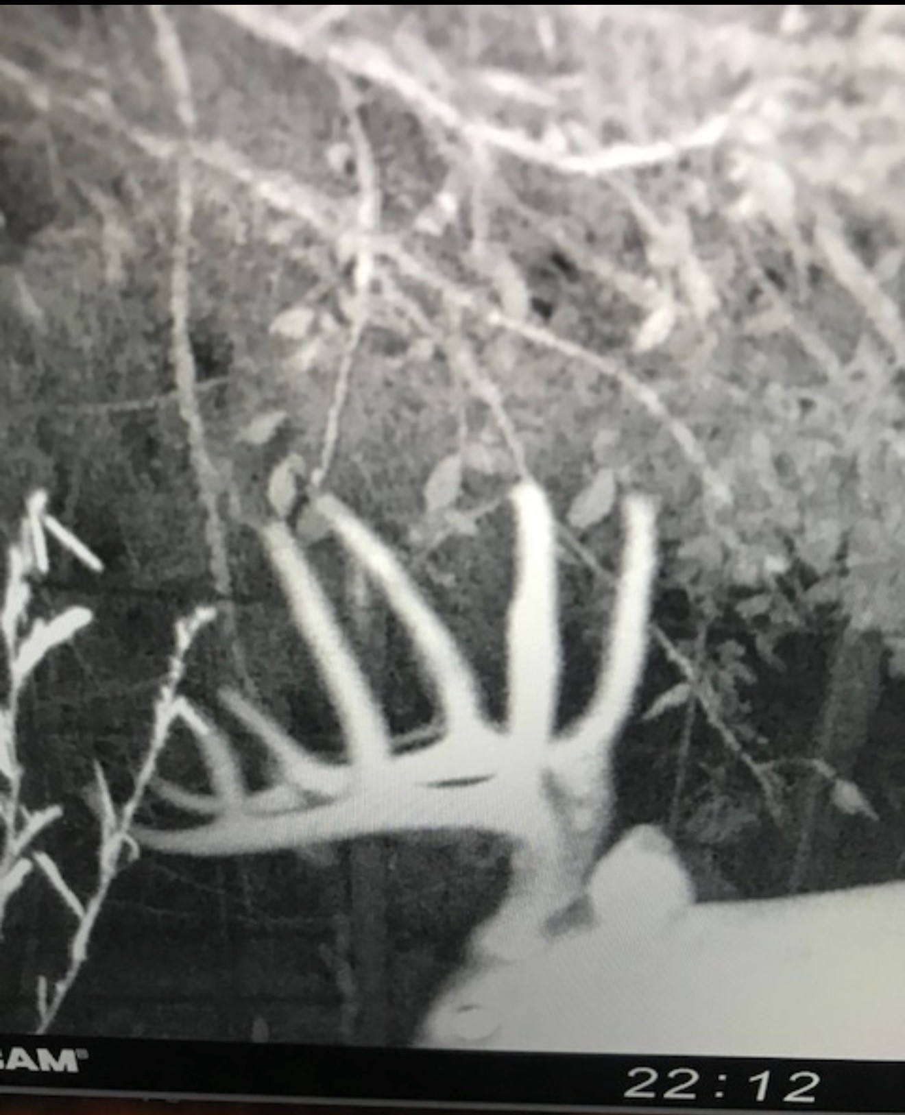 000 Private Road 7832 Hawkins TX 75765