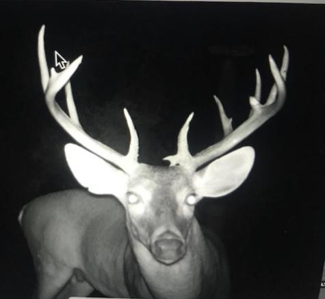 0 Private Road 7832 Hawkins TX 75765