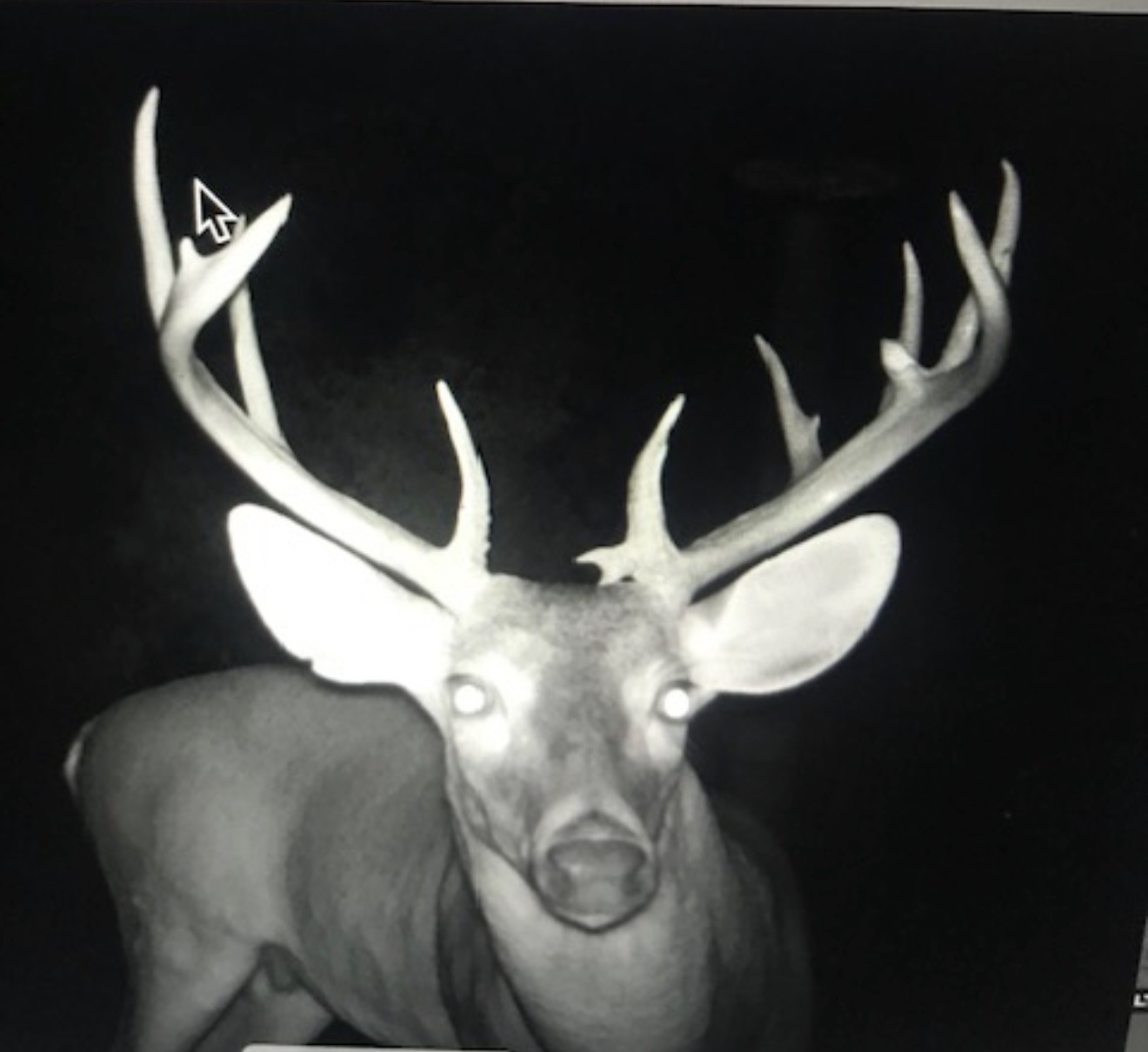 000 Private Road 7832 Hawkins TX 75765