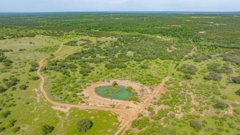 136 Moose Trail Ranger TX 76470
