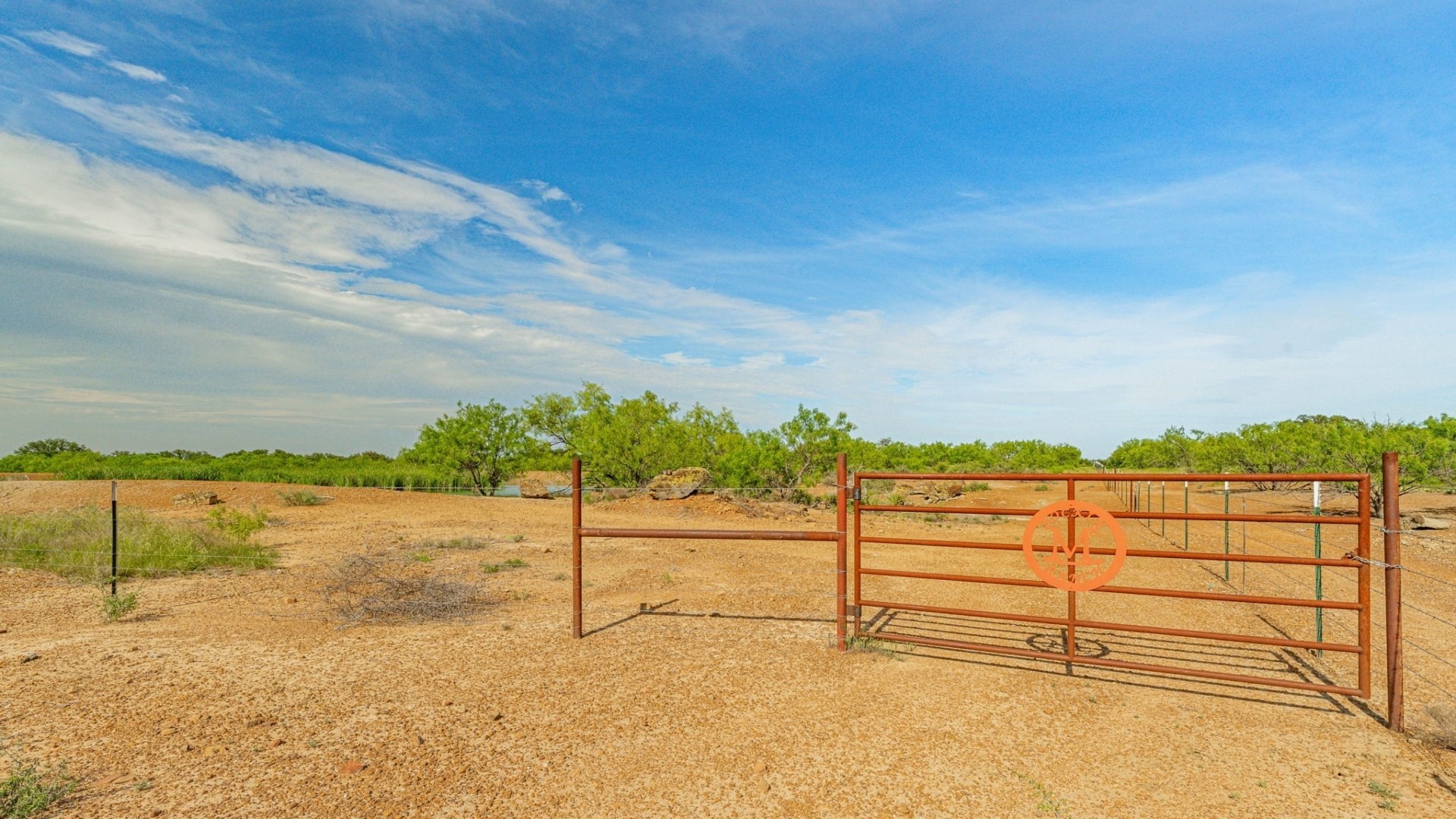 136 Moose Trail Ranger TX 76470