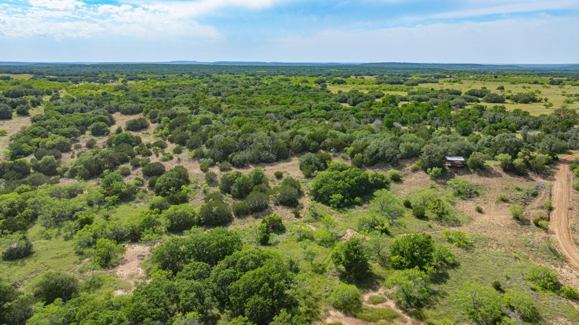 136 Moose Trail Ranger TX 76470