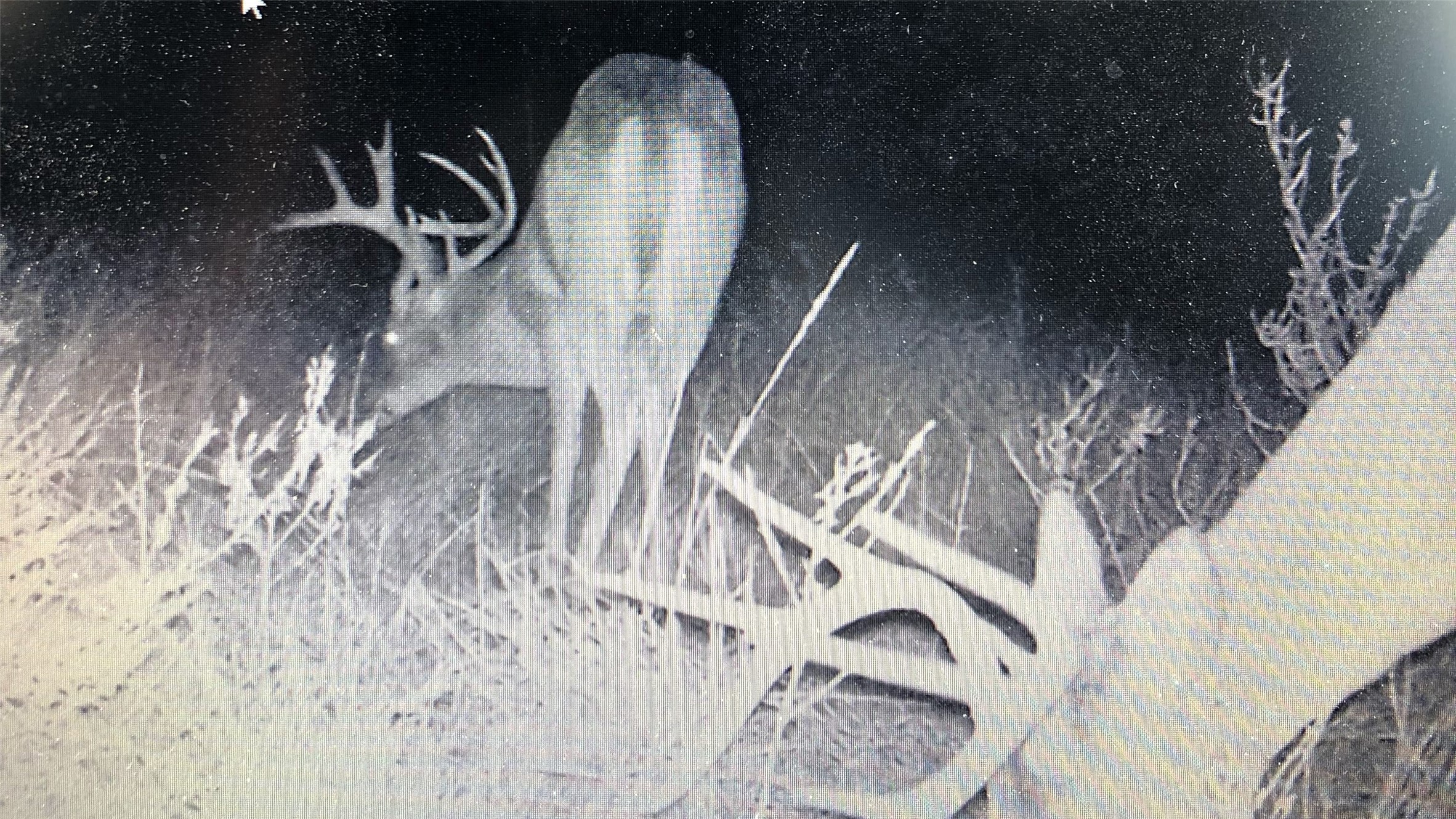 136 Moose Trail Ranger TX 76470